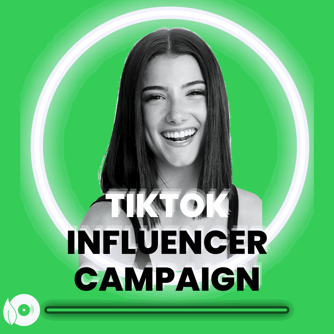 Organic TikTok Influencer Campaign