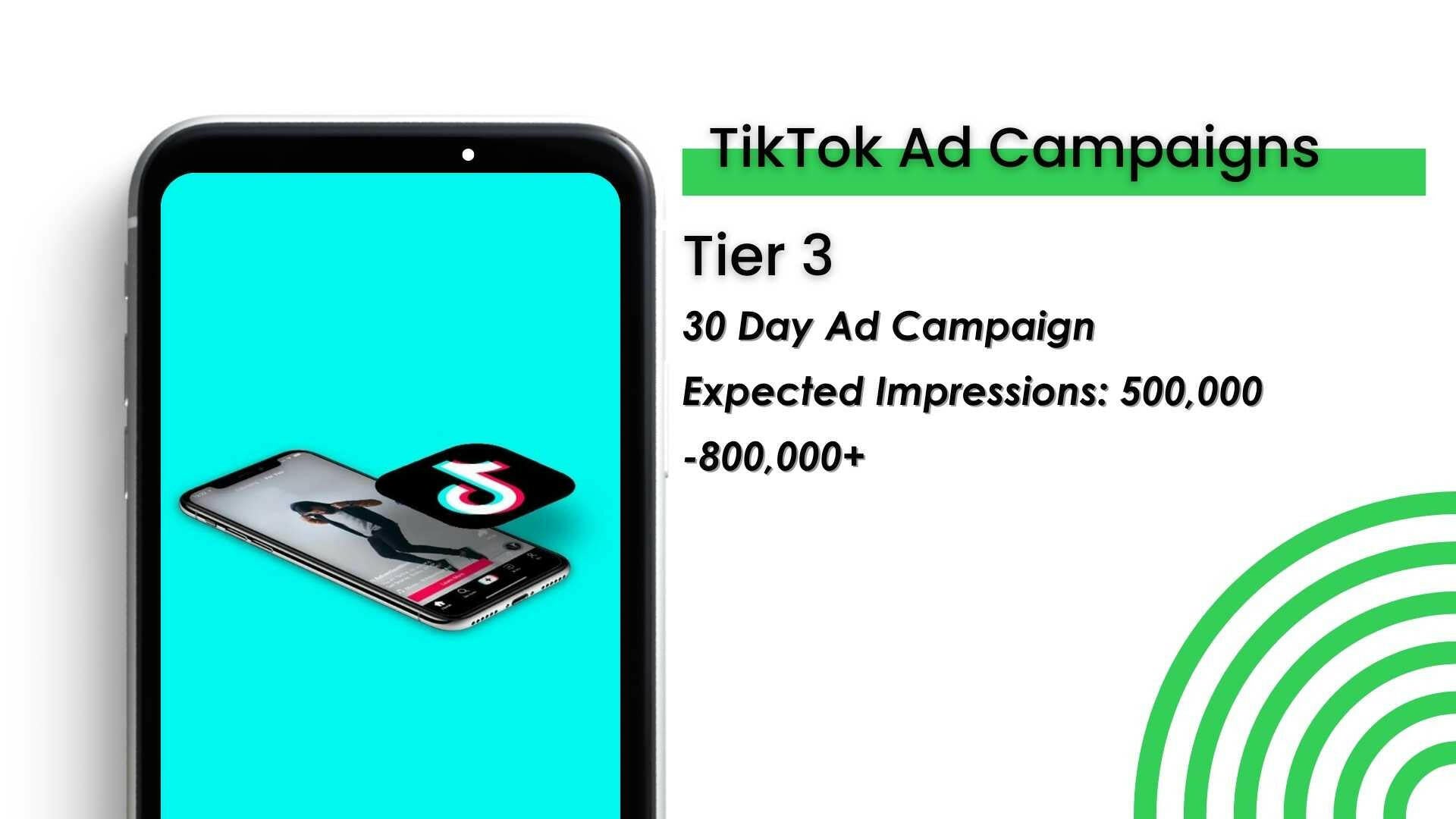 TikTok Ad Campaigns - Organic Music Marketing
